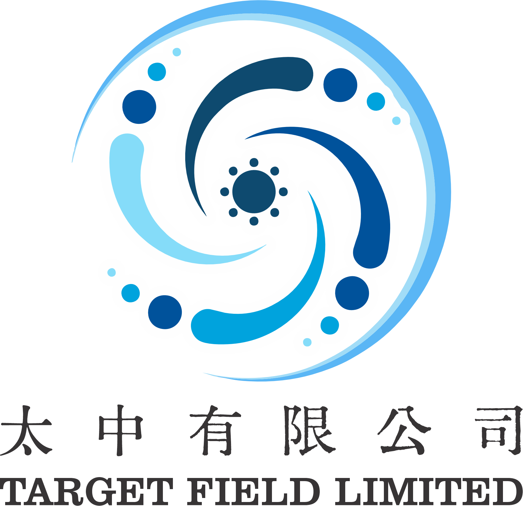 Target Field Limited 太中有限公司